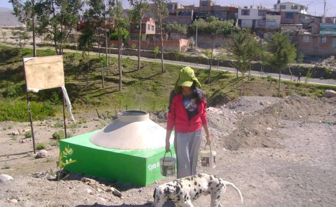 Forestando mi localidad