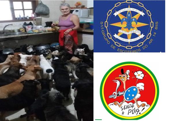 Projeto Senta a Pua com Animaila