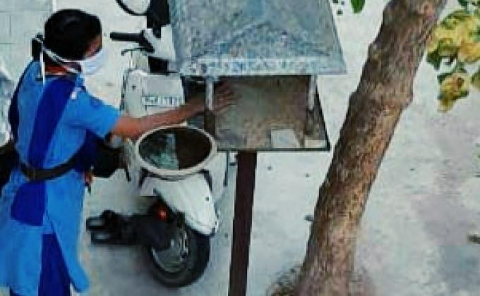 Bird and Animal Service