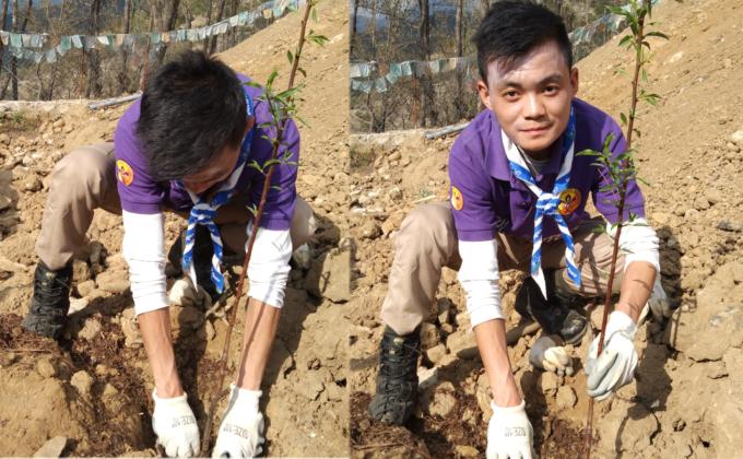 Sapling Plantation