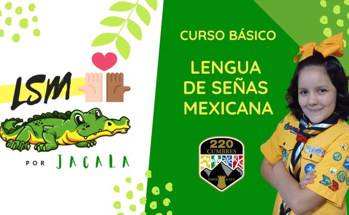 LSM POR JACALA