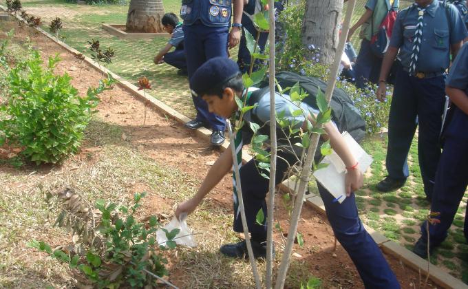 NATURE STUDY HIKE ......... CONSERVE THE ENVIRONMENT..........MESSENGER OF PEACE