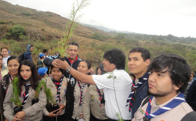 Mi Árbol