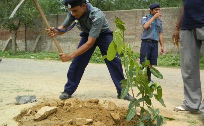A scout is a friend to animals and loves nature