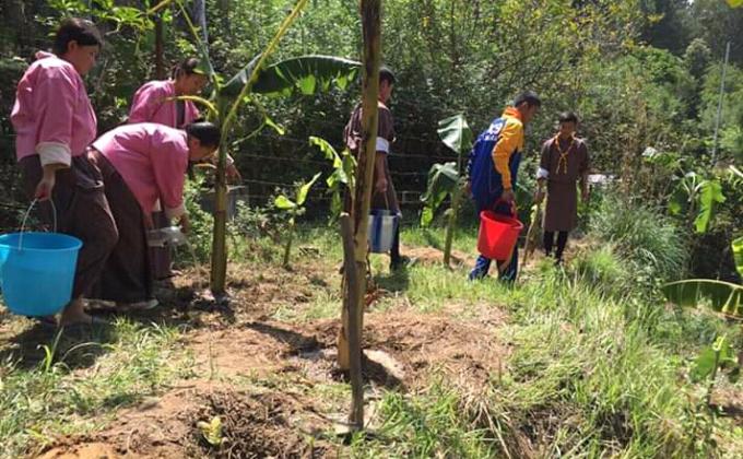 Planting for green future