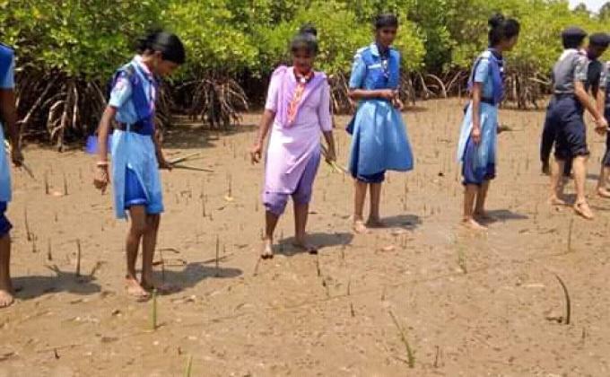 "Beat Air Pollution" - Mangrove's Plantation by Bsg Udupi District Association Karnataka state, India.