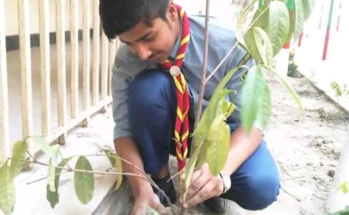 মুজিব শতবর্ষ উপলক্ষে বৃক্ষরোপণ কর্মসূচি 