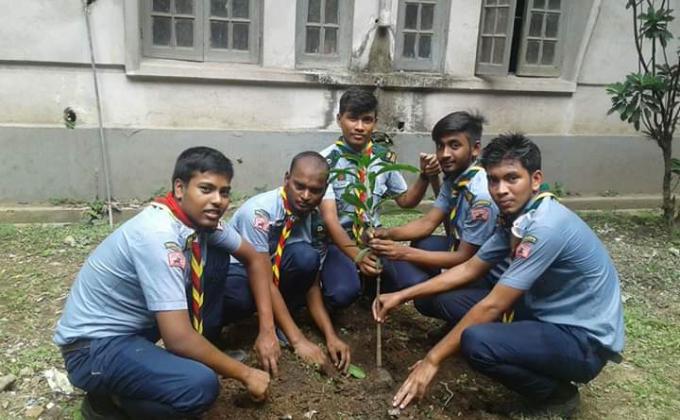 Tree Plantation 