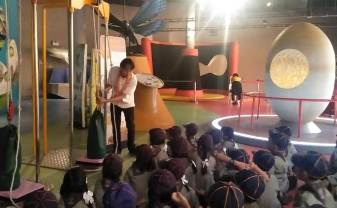 การทดลองการใช้กำลัง