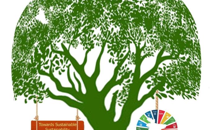 TOWARDS SUSTAINABLE SUSTAINIBILITY