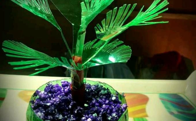 Plastic Tide Turners Challenge Badge,Bangladesh Scouts.