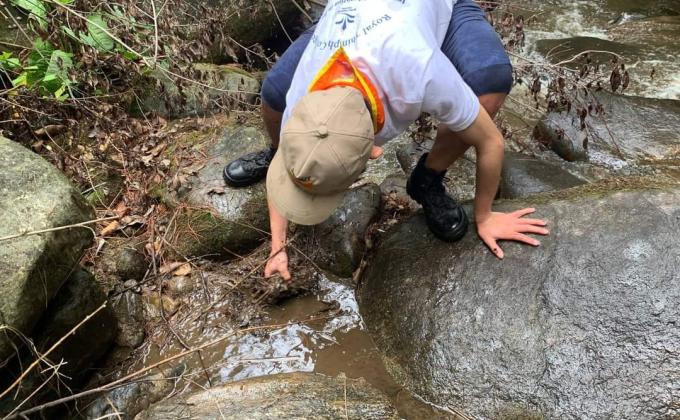 Stream cleaning activity