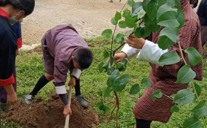 Bhutan scouts join world in planting trees