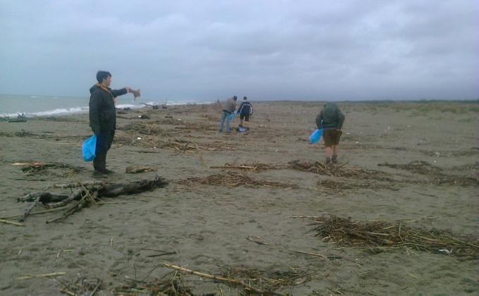 Beach cleaning