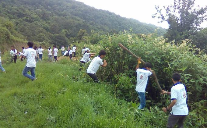 community development