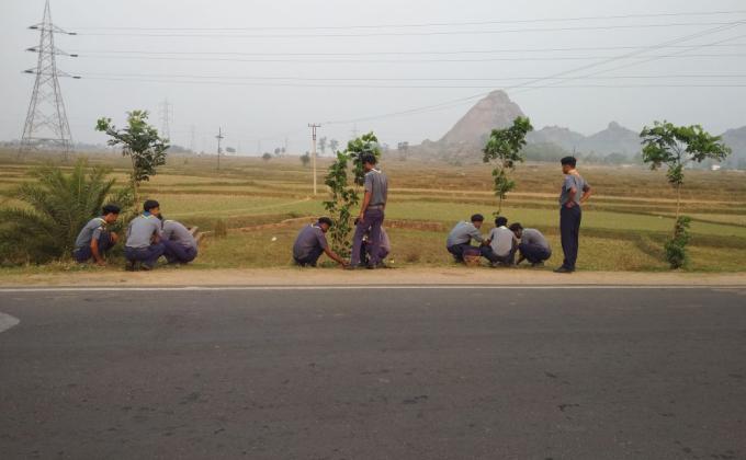 NATURE CARE TREE PLANTATION