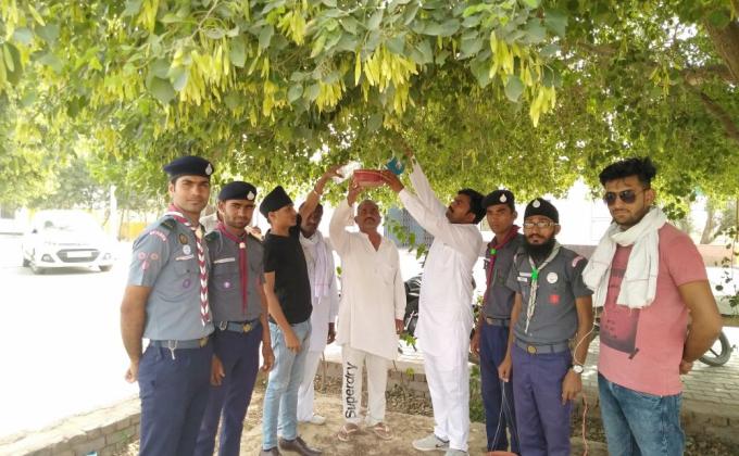 ग्राम पंचायत पतरोड़ा के अटल सेवा केंद्र में परिडे लगाये