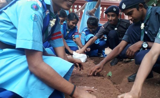 greenery bed campaign 