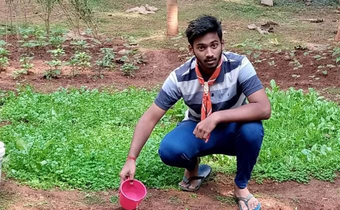 Plantation Work