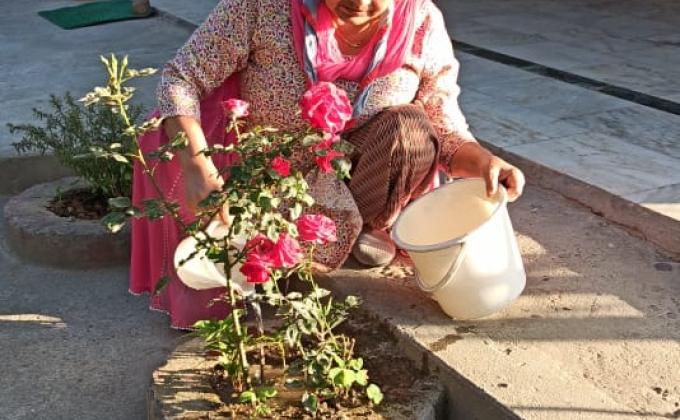 Celebrate The Earth Day 