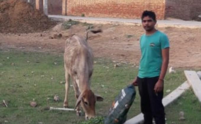 गौ सेवा