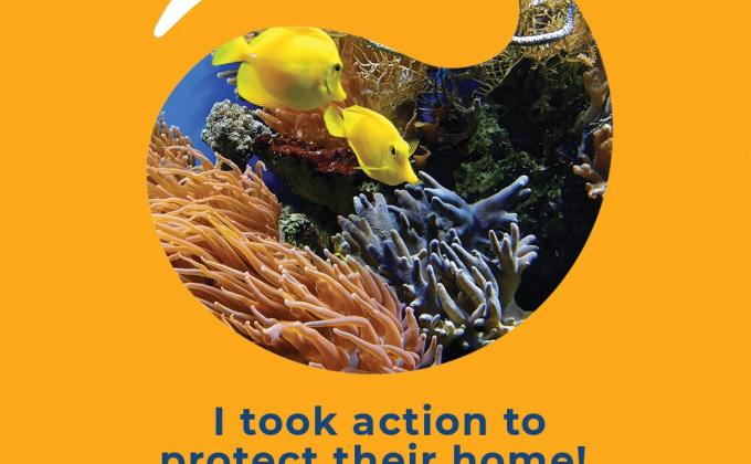 Happy World Oceans Day 