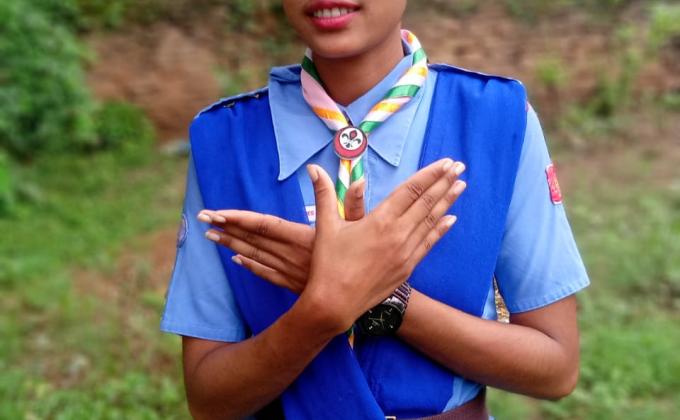 Webinar on better world framework..