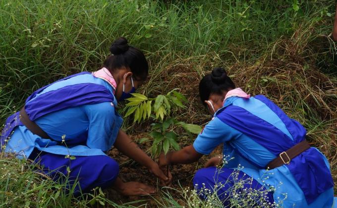 Activities on SDGs