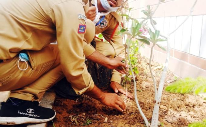 Clean and green Pakist