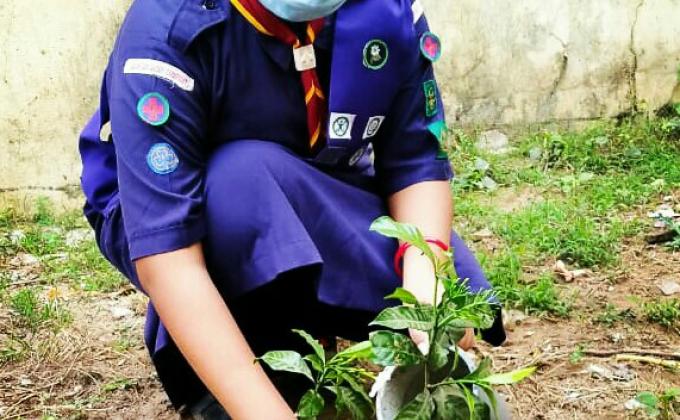 If you plant a tree you plant a life. 