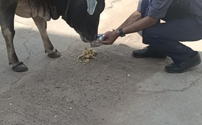 PUSHPENDRA KUMAR NAMDEO