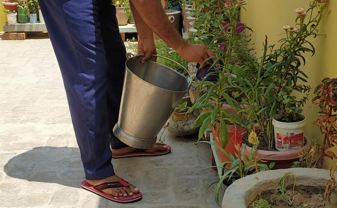 फ्री टाइम में घर पर लगे छोटे-छोटे पौधों में पानी दिया और पक्षियों के लिए दाने डालें।
 अपने स्काउट मित्रों को भी कहा कि  आप के आस पास जो छोटे-छोटे पौधे लगे हैं उनमें पानी दीजिए