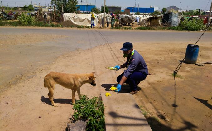 भुखे जानवरो को खाना खीलाया 