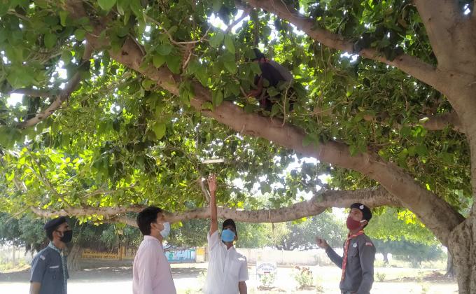 चुगापत्र लगाते हुए