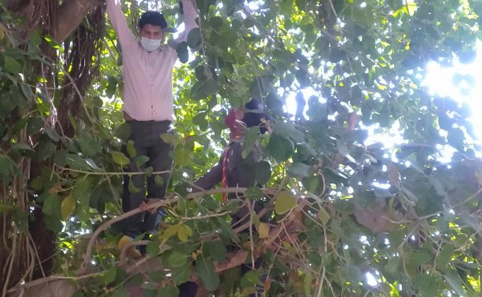 बेजुबान पक्षियों के लिए गोस्ले लगाए गए