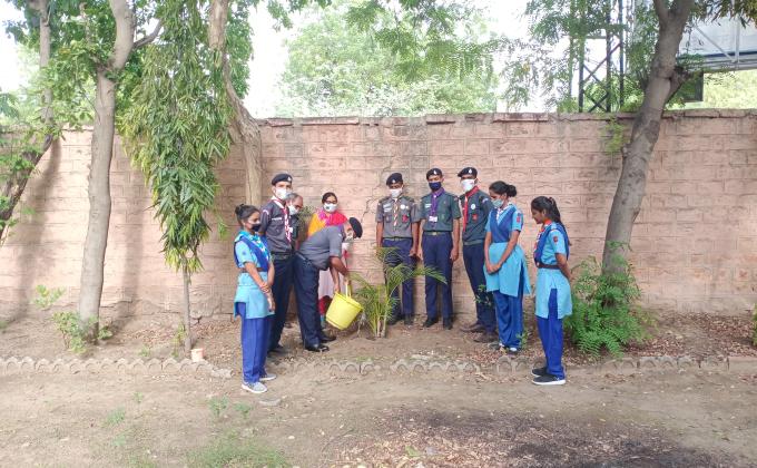 राज्य संगठन आयुक्त के निर्देशन में गर्ल्स गाइड हेडक्वार्टर जोधपुर में किया गया पौधारोपण #BSG DHQ JODHPUR, RAJASTHAN, INDIA