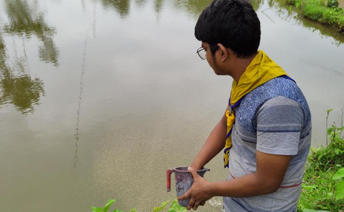 arrange food for fish