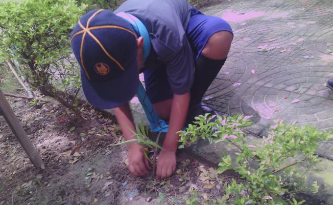 Green world
