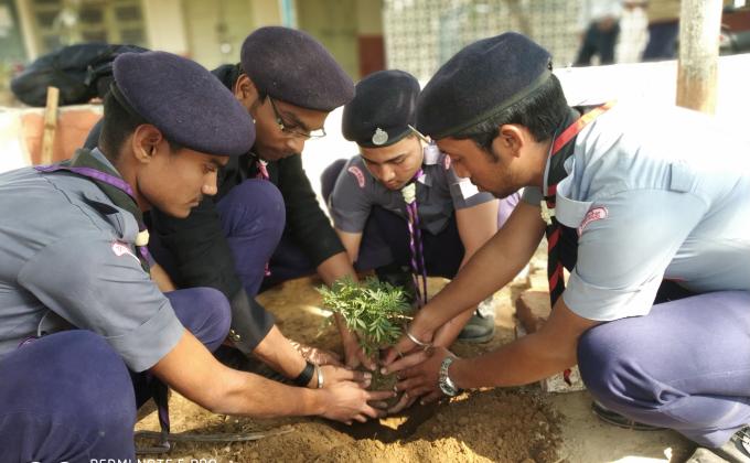 Tree Plantation 