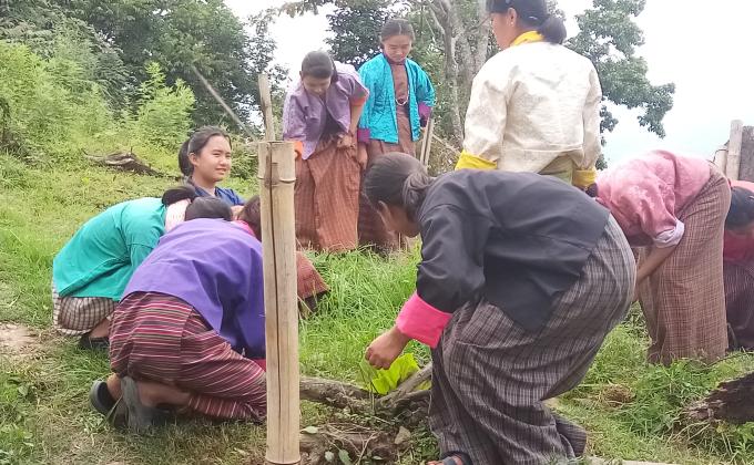 Garden development 
