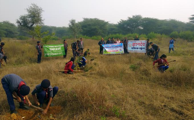  Environment Greenery