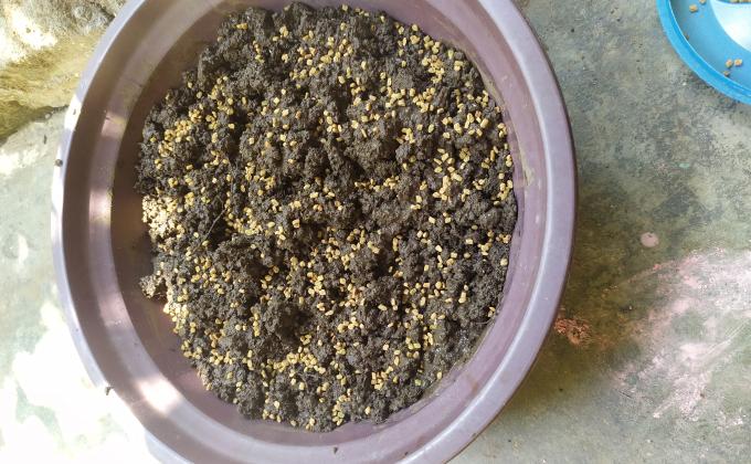 SANKALP Gr-B Ch-04 by Kalyani Korna