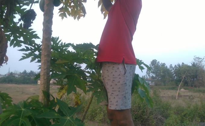 sankalap# Go green