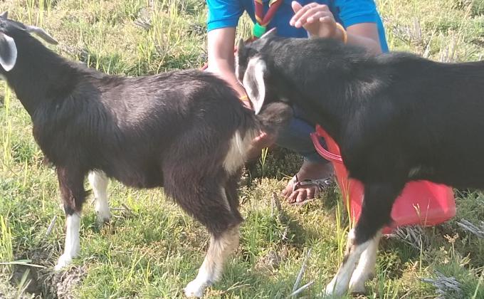 Project Sankalp to Create a better tomorrow.