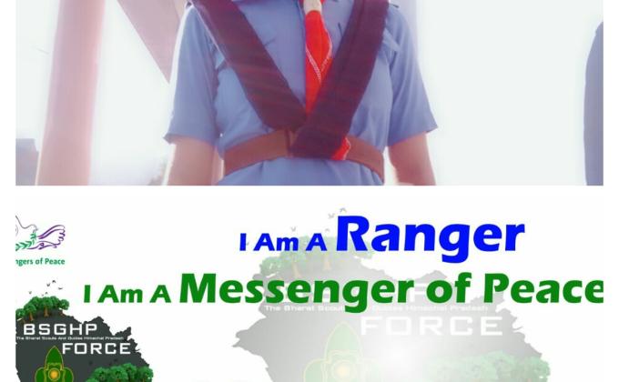 fight against covid-19