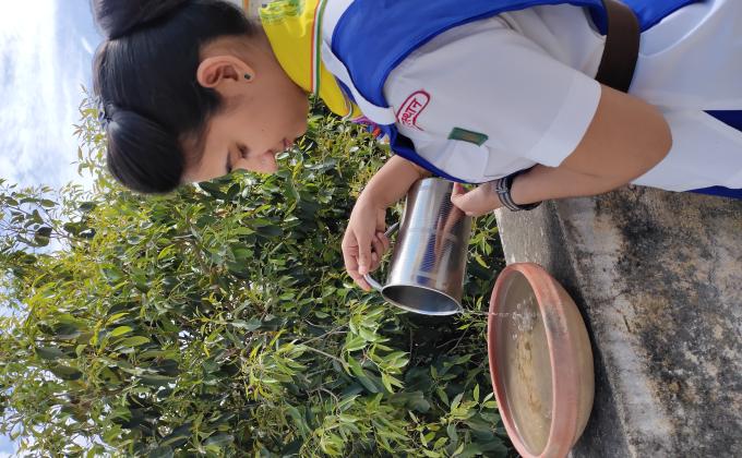 LAYING BIRDS FOR BIRDS ON MIGRATORY BIRDS DAY