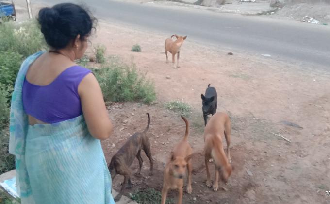 ##goodturn##nohungermission##Sankalpbyscoutsguides##