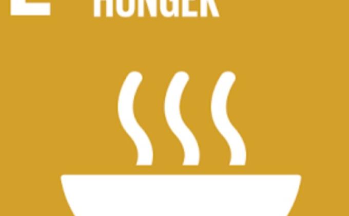 food distribution/covid-19/ zero hunger