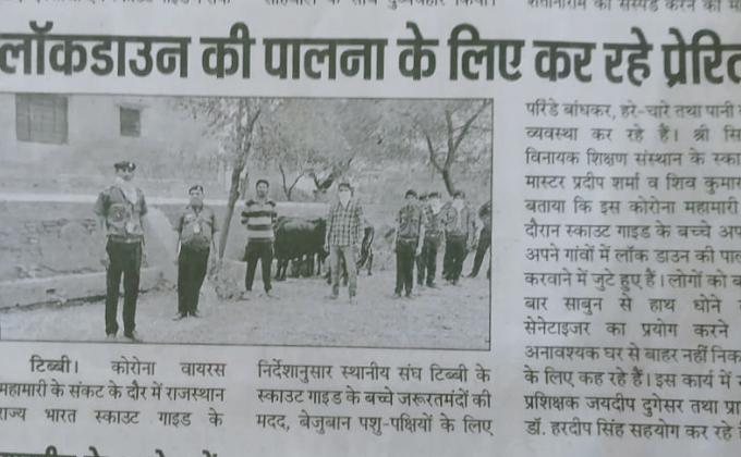 लॉकडाउन में टिब्बी स्काउट ग्रुप ने अवारा पशुओं को चारा खिलाया और परिंडे बाधंकर पक्षियों के लिए की पानी की व्यवस्था