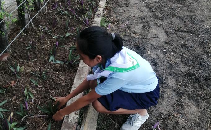 จิตอาสา